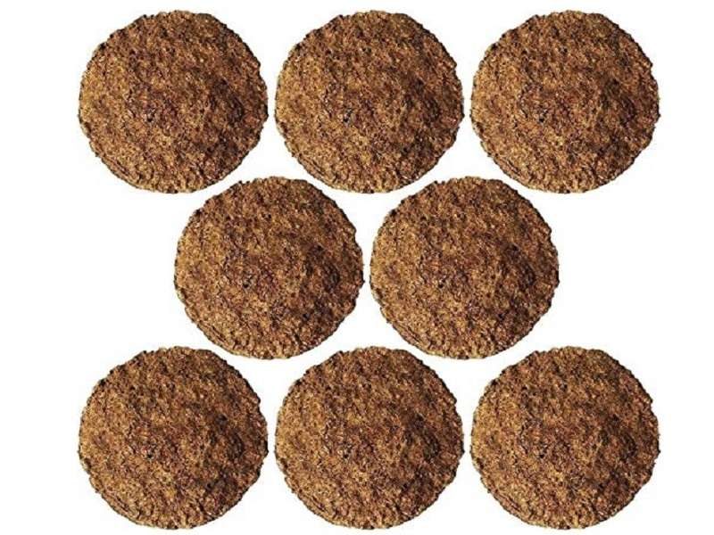 Cow Dung