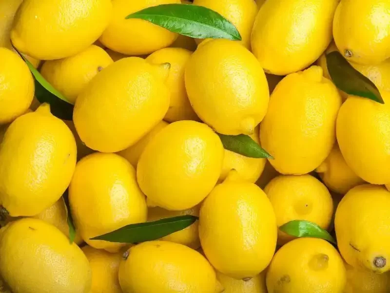 Lemon