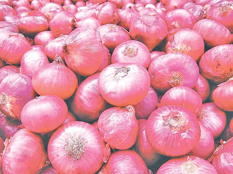 Onion