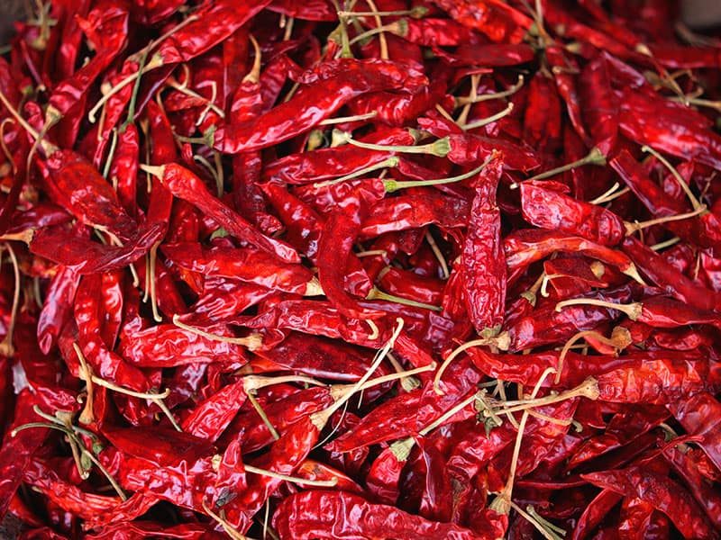 Red Chilli