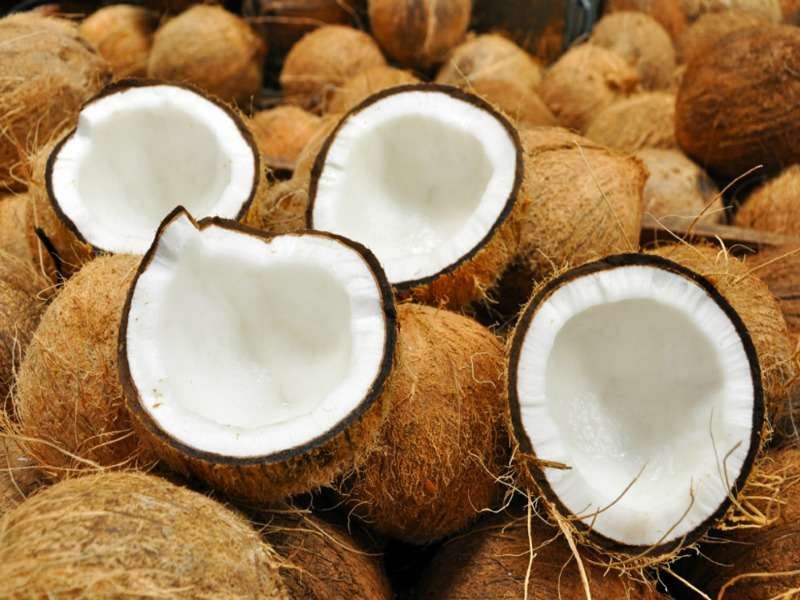 coconut